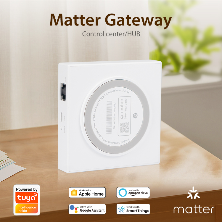 Tuya Zigbee Matter Thread Gate – обзор и цена Matter Hub Thread