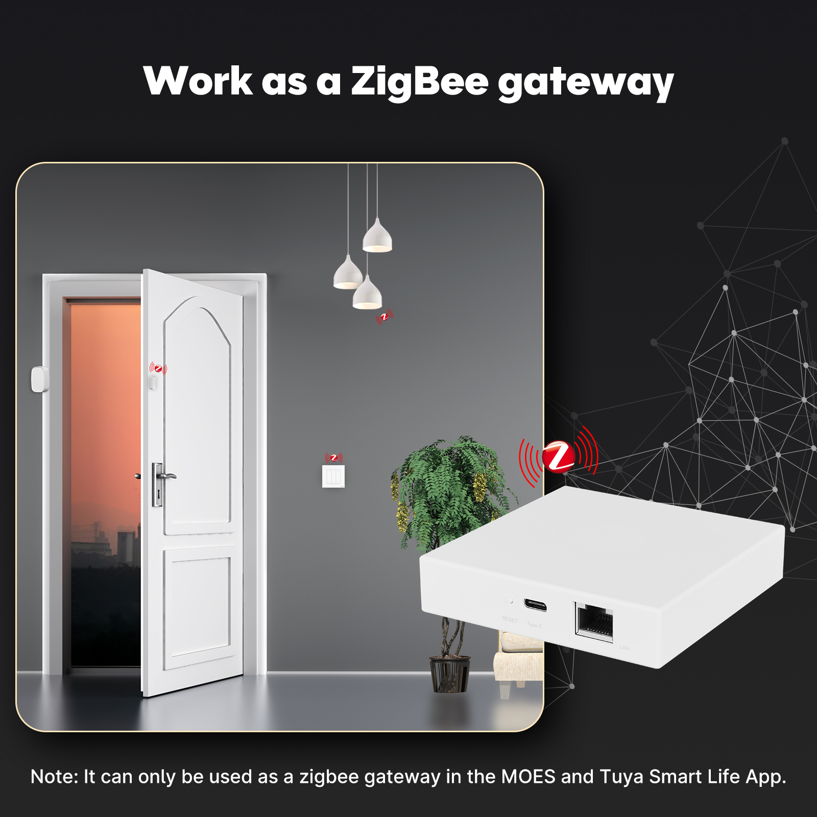 MOES Tuya Zigbee Matter Thread – обзор и цена Matter Hub Thread