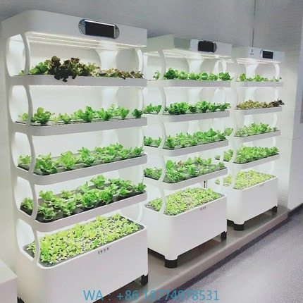 Iydroponic Automated Grow Syst – обзор и цена Home Automation Systems Diy